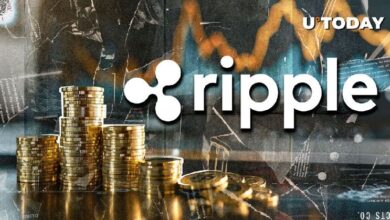 5c117d6b8a65e5b3c2fe ¡Descubre cómo Ripple emite un colosal Stablecoin RLUSD de 4.5 millones en solo 24 horas!