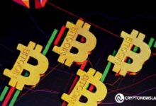 ¿88K a la Vista? ¡Descubre el Nuevo Objetivo de Precio de Bitcoin para Diciembre! - Cripto Boom