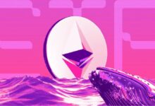 Precio de Ethereum (ETH) Sube: ¡Descubre por qué 361,000 ETH Salen de los Intercambios! - Cripto Boom