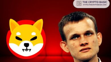 Desarrollador de Shiba Inu Afirma que la Lucha del Creador de Ethereum contra el FUD “Hace que la Mía Parezca Pequeña” - ¡Descubre Más! - Cripto Boom