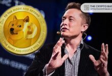 604ef92ce6fa1f857362 Elon Musk Revela su Atracción por Dogecoin: Amor por el Humor, Perros y Memes - Descubre Más