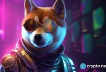 El precio de Shiba Inu se dispara: ¡Descubre el raro patrón alcista! - Cripto Boom