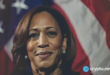 Cofundador de Ripple afirma que Kamala Harris adoptará un enfoque ‘completamente diferente’ en la guerra de Biden contra las criptomonedas - Descubre más - Cripto Boom