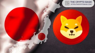 SBI VC Trade Lanza Dos Promociones para Shiba Inu: ¡Descúbrelas Ahora! - Cripto Boom