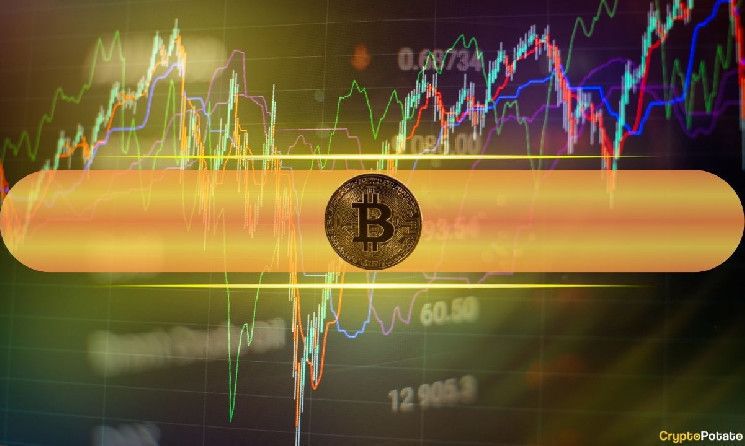 Volatilidad Masiva de Bitcoin Inminente ante la Proximidad de las Elecciones Presidenciales en EE.UU.: Descubre el Análisis de Bitfinex - Cripto Boom