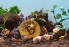 658ea8b5f041a53fb830 ¡La Tasa de Financiación de Bitcoin Alcanza su Nivel Más Alto en Meses! Descubre Qué Esperar