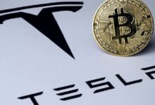 660862544c14587c3669 Tesla de Elon Musk Movió $776 Millones en Bitcoin, Pero Aún Controla las Carteras: Descubre Más con Arkham