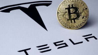 Tesla de Elon Musk Movió $776 Millones en Bitcoin, Pero Aún Controla las Carteras: Descubre Más con Arkham - Cripto Boom