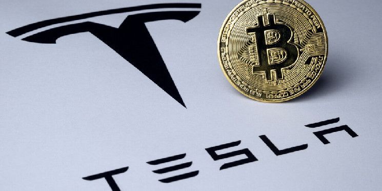 660862544c14587c3669 Tesla de Elon Musk Movió $776 Millones en Bitcoin, Pero Aún Controla las Carteras: Descubre Más con Arkham