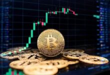 Indicadores de Bitcoin sugieren un 'increíble rally de 12 meses' - ¡Descúbrelo ahora! - Cripto Boom