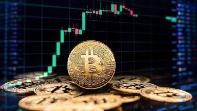 Indicadores de Bitcoin sugieren un 'increíble rally de 12 meses' - ¡Descúbrelo ahora! - Cripto Boom