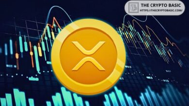 67906b6a12ed654b6340 Investigador Blockchain Revela por Qué el Precio de XRP No Importa: ¡Descúbrelo!