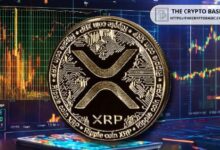 Experto Promete No Volver a Tocar XRP; Descubre el Motivo Aquí - Cripto Boom