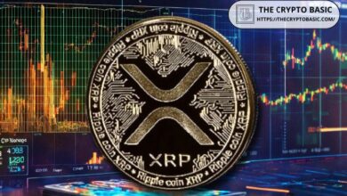 Experto Promete No Volver a Tocar XRP; Descubre el Motivo Aquí - Cripto Boom