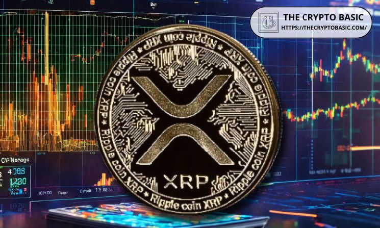 Experto Promete No Volver a Tocar XRP; Descubre el Motivo Aquí - Cripto Boom