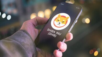 6b520af7b7710b1bbb11 Predicción del precio de Shiba Inu: ¿Podrá SHIB alcanzar una capitalización de mercado de $100 mil millones? ¡Descúbrelo!