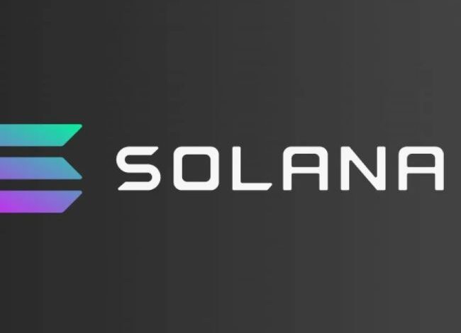 ¿El Fin del Camino para Solana? Analista Predice Desplome del 77% a $40: ¡Descubre Más! - Cripto Boom