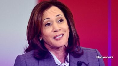 6c3ad88d5791e13e9e2c Los comentarios criptográficos de la Vicepresidenta Harris carecen de detalles: ¡Descubre más!