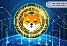 6c46afc23963850300df Shiba Inu Agradece a sus Desarrolladores por Convertir SHIB en un Token de Utilidad - Descubre Más