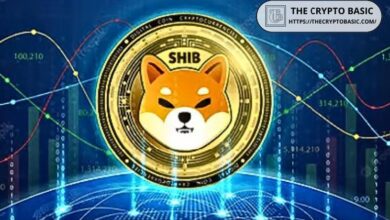 6c46afc23963850300df Shiba Inu Agradece a sus Desarrolladores por Convertir SHIB en un Token de Utilidad - Descubre Más