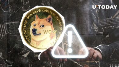 Dogecoin (DOGE) se dispara un 48% en octubre, pero cuidado, advierte un destacado influencer - Cripto Boom