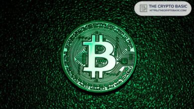 Analista Fija Meta de Bitcoin en $285,000 Usando Modelo Cuantil: ¿Se Cumplirá? - Cripto Boom