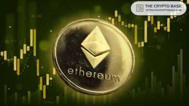 Analista Experto Predice Rally de Ethereum a $6K si el Soporte Clave de $2,400 se Mantiene: ¡Descúbrelo Aquí! - Cripto Boom