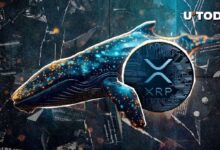 70e2a67b3278ddcca1eb Nuevo Megaballena de XRP Surge con Transferencia de 104 Millones de XRP: ¡Descubre Más!