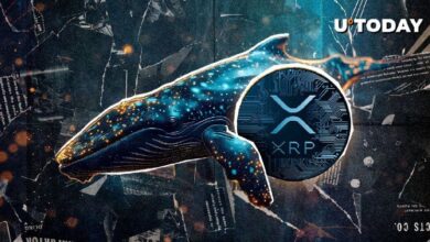 70e2a67b3278ddcca1eb Nuevo Megaballena de XRP Surge con Transferencia de 104 Millones de XRP: ¡Descubre Más!