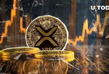 712f84a9a91d664b6626 ¿Qué pasa con XRP? Precio de $0.55 Rechazado - Descubre los detalles