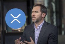 ¡El CEO de Ripple Evalúa la Carrera Trump-Harris! Descubre la Probabilidad de Aprobación para los ETFs de XRP! - Cripto Boom