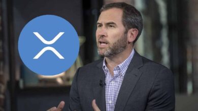 716b4842096bee046698 ¡El CEO de Ripple Evalúa la Carrera Trump-Harris! Descubre la Probabilidad de Aprobación para los ETFs de XRP!