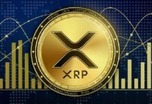 731c08ece1f6b6e2aafe XRP Cae a $0.51: Descubre Cómo el Caso Ripple-SEC Impulsa la Volatilidad