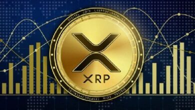 731c08ece1f6b6e2aafe XRP Cae a $0.51: Descubre Cómo el Caso Ripple-SEC Impulsa la Volatilidad