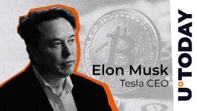 ¡Descubre la Reacción de Elon Musk Provocada por el Presidente de El Salvador sobre Bitcoin! - Cripto Boom