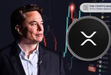 750d35db165b1f51b835 Elon Musk Menciona XRP por Primera Vez: Descubre el Impacto