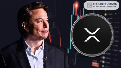 750d35db165b1f51b835 Elon Musk Menciona XRP por Primera Vez: Descubre el Impacto