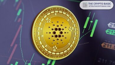 Experto Afirma que la Fase ‘Aburrida’ de Cardano Termina Aquí: ¡Atento a este Movimiento de ADA! - Cripto Boom