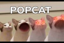 Popcat alcanza nuevo ATH: ¡Lidera el rally de monedas meme en Solana! - Cripto Boom