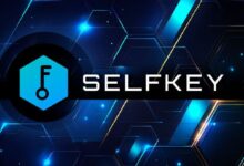 SelfKey Lanza Referéndum Comunitario sobre Fusión Potencial: ¡Descubre los Detalles! - Cripto Boom