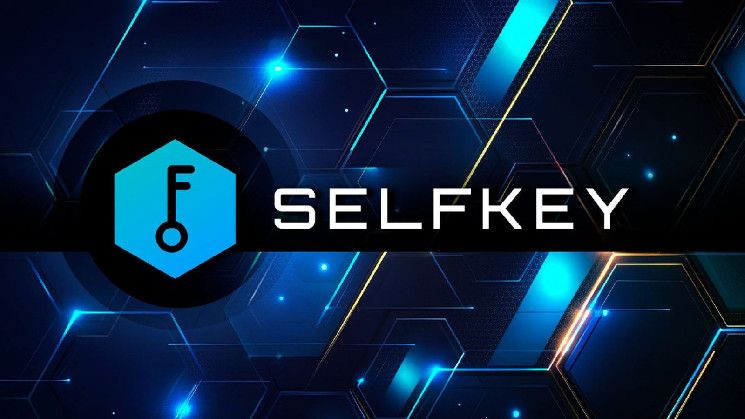 SelfKey Lanza Referéndum Comunitario sobre Fusión Potencial: ¡Descubre los Detalles! - Cripto Boom