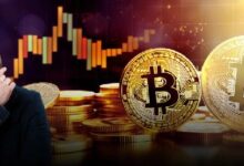 5 Razones por las que el Aumento del Precio de Bitcoin No Se Detendrá Pronto: Descúbrelas Ahora - Cripto Boom