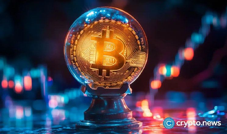 77b4014fbc5c5f1795e3 Reservas de Bitcoin en intercambios caen a mínimos históricos: ¡Descubre por qué los fundamentos siguen fuertes!