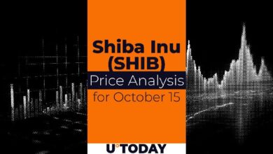 78923150be0fd05beaf6 Predicción del Precio de SHIB para el 15 de Octubre: ¡Descubre las Tendencias!