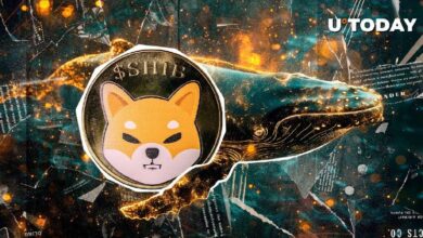 Precio de Shiba Inu al Borde: ¿Aprovecharás el Momento tras Venta de 800 Mil Millones de SHIB? - Cripto Boom