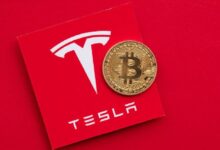 796ca44ac76beb9254b4 ¿Qué Pasó con los Millones de Dólares en Bitcoin Transferidos por Tesla? ¿Venta o Otro Propósito? Descubre las Teorías Aquí