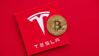 796ca44ac76beb9254b4 ¿Qué Pasó con los Millones de Dólares en Bitcoin Transferidos por Tesla? ¿Venta o Otro Propósito? Descubre las Teorías Aquí