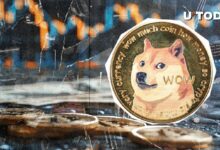 7a5b3cdbd947595509d8 Dogecoin Aumenta Actividad a Máximo de 8 Meses: Descubre la Razón Detrás del Auge