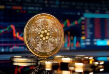 Cinco Expectativas del Próximo Upgrade Chang 2 de Cardano: Descubre Novedades Clave - Cripto Boom