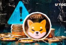 7bbf723e94d6d6fe7bf0 FUD sobre Shiba Inu alcanza máximo histórico: Equipo de SHIB responde con declaración clave